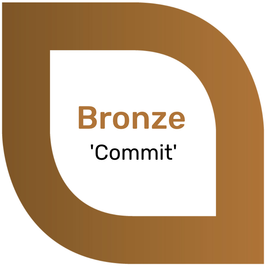 Bronze - Commit