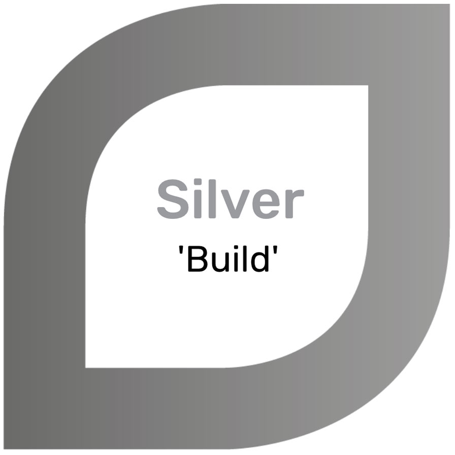 Silver - Build